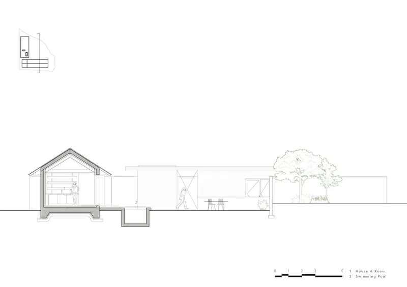 Section drawing showing a gabled space with pool, connecting to outdoor areas and a tree