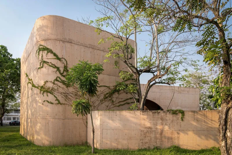 Curved board-formed concrete walls with bare tree branches casting shadows in afternoon light