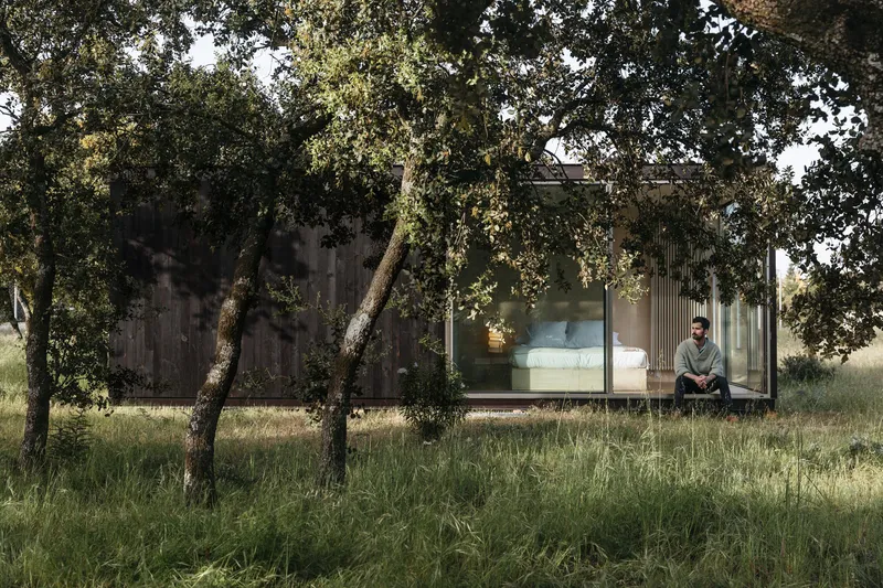 Glass-walled bedroom volume with person seated inside, framed by gnarled olive trees in meadow grass