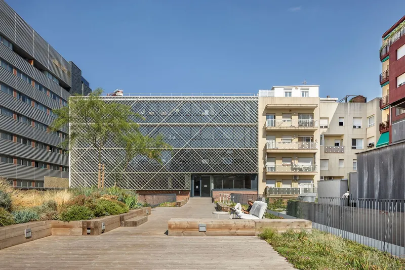 Timber deck courtyard with planted beds and diagonal mesh facade under clear blue sky