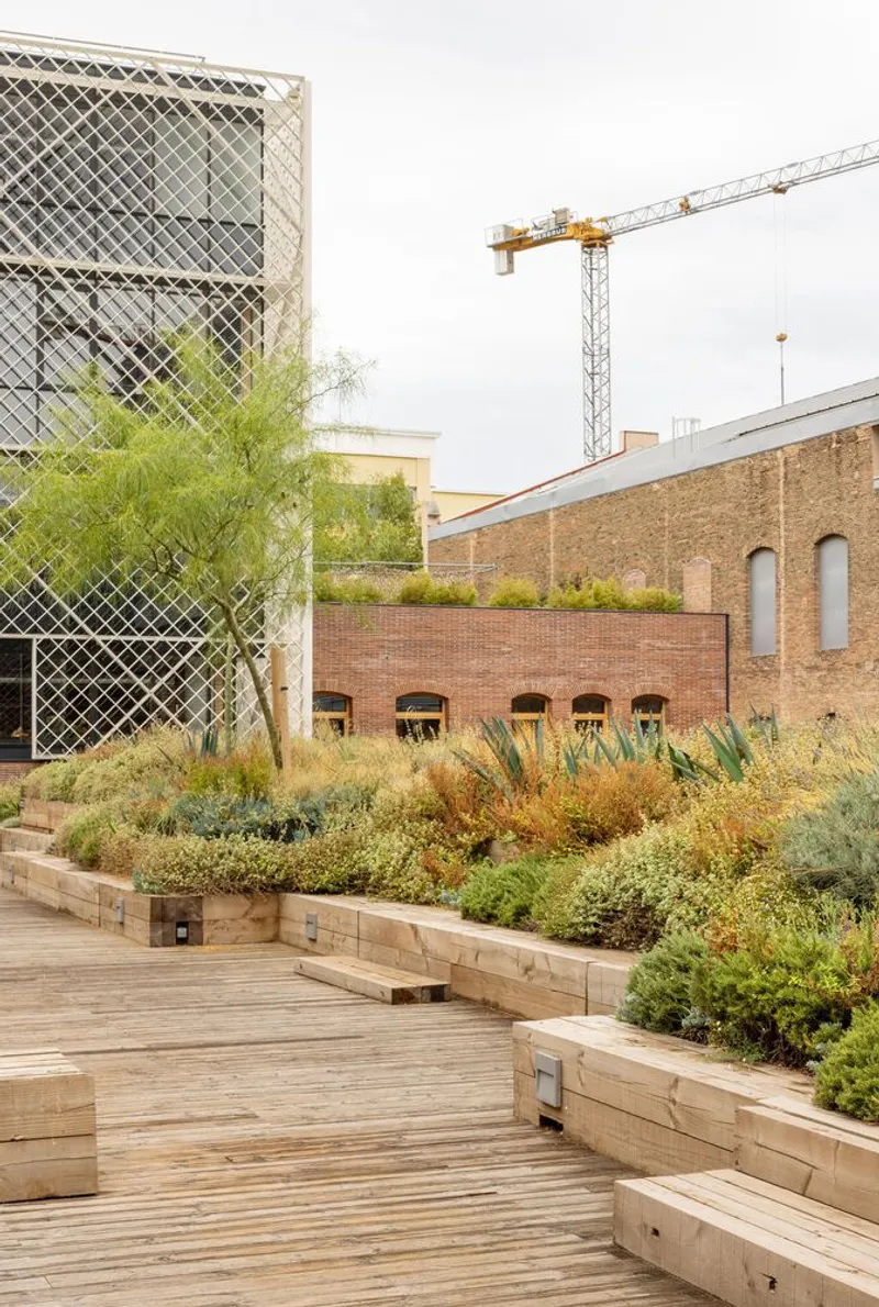 Timber deck terrace with raised planted beds and construction crane visible in background