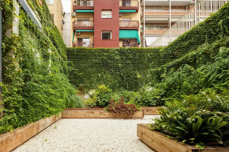 Planted courtyard with timber raised beds and climbing green walls facing surrounding residential buildings
