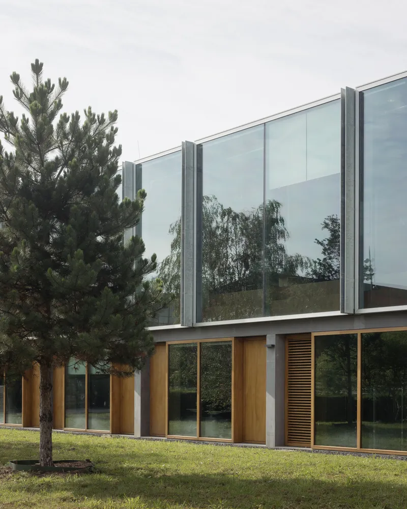 Two-story glass facade with vertical metal frames beside a pine tree in afternoon light