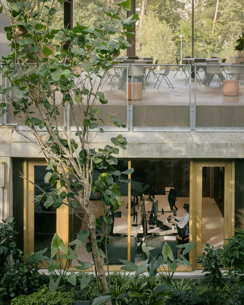 Courtyard view showing planted ground level and upper terrace with perforated metal balustrade