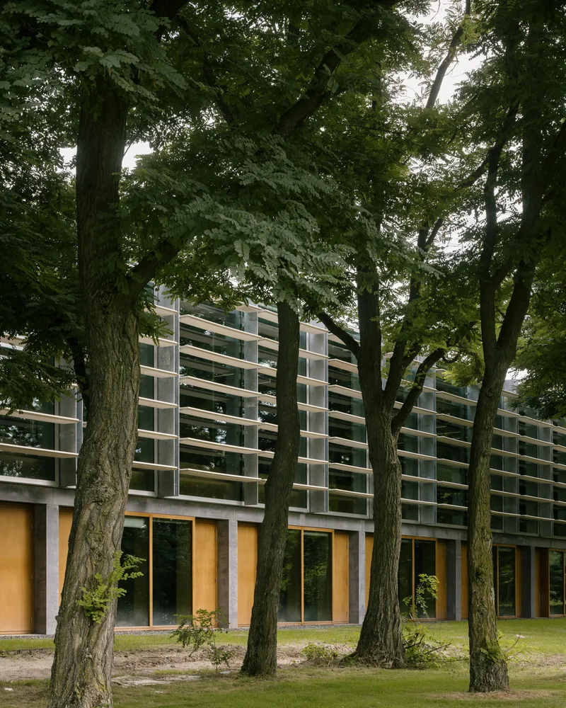 Horizontal louver facade with timber window surrounds viewed through a row of mature deciduous trees