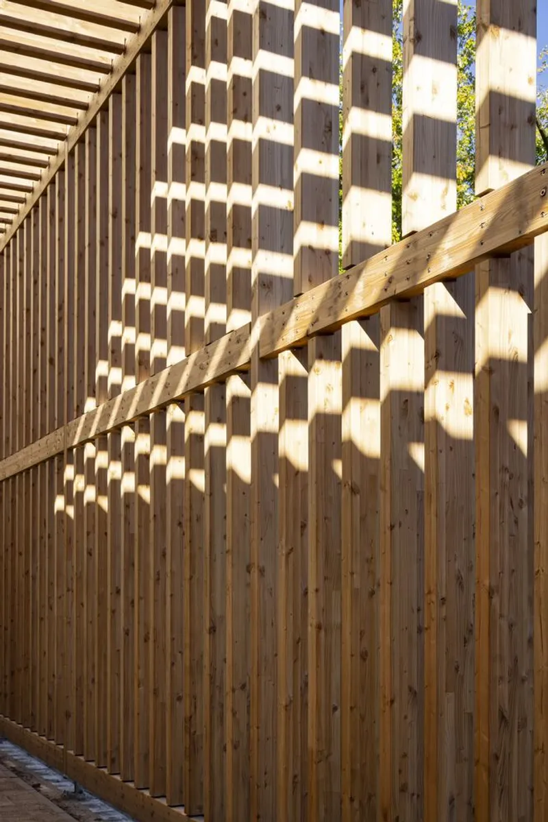 Vertical timber slat fence with diagonal cross bracing casting dappled shadow patterns