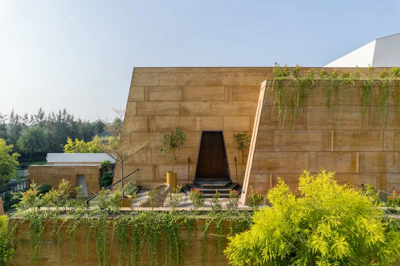Rooftop terrace with sandstone facade and hanging vines above planted beds in afternoon light