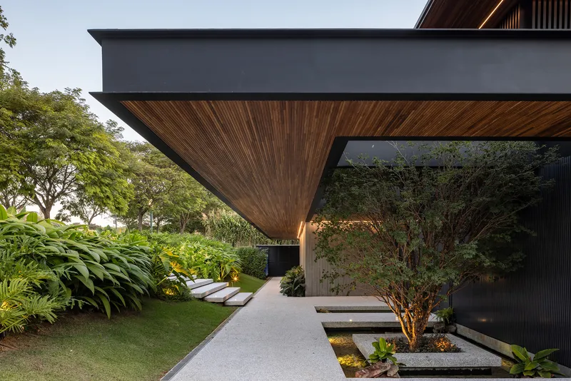 Covered walkway with ribbed timber soffit and planted water feature leading to the entrance