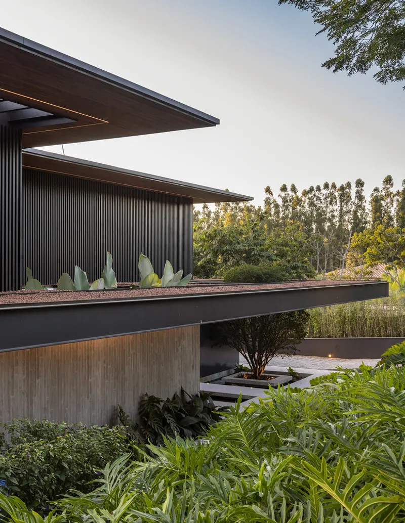 Stacked volumes with vertical slatted cladding and planted roof terrace framed by lush vegetation