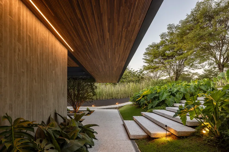 Entry path with illuminated concrete steps and timber soffit at dusk