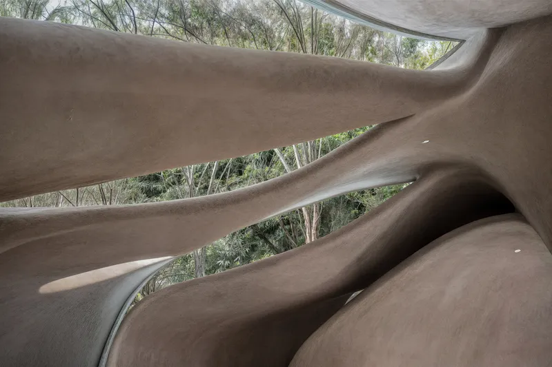 View through horizontal window slots in curved plaster walls revealing dense eucalyptus forest outside