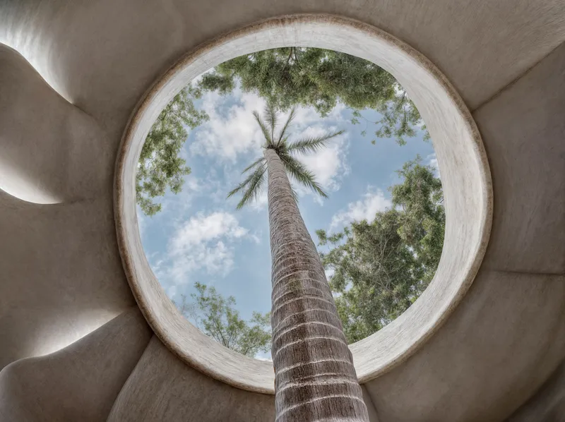 Upward view through a circular oculus framing a palm tree against blue sky with clouds