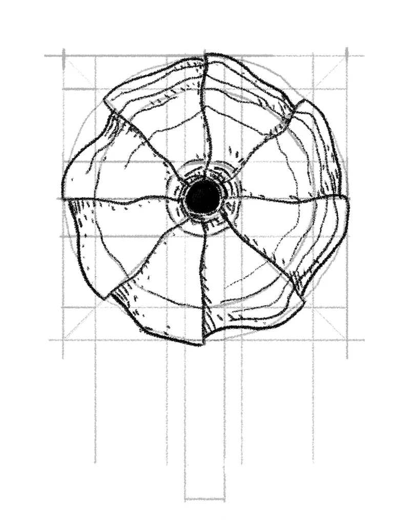 Sketch plan of the radial roof geometry with a central core on a construction grid