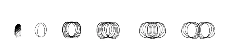 Sketch diagram showing a sequence of overlapping circular forms developing into paired lobes