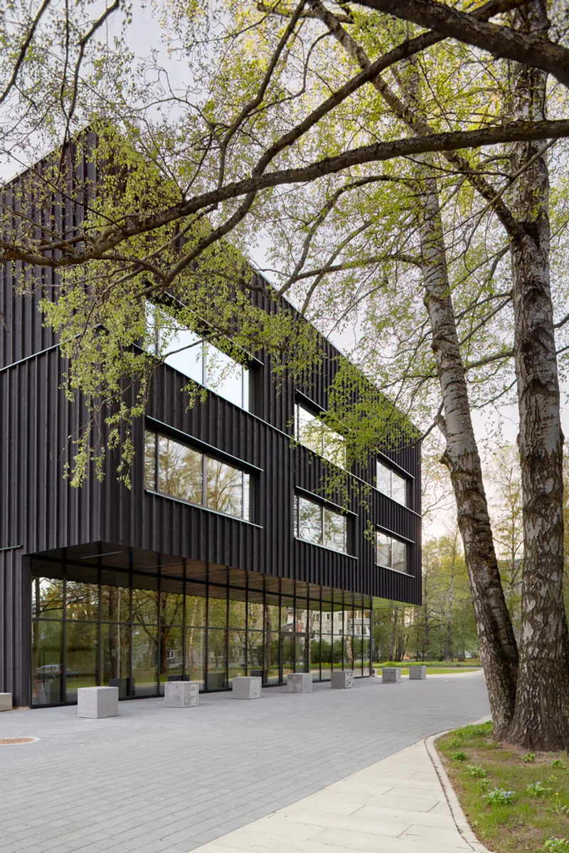 Charred wood facade with staggered windows framed by overhanging birch branches in leafy park