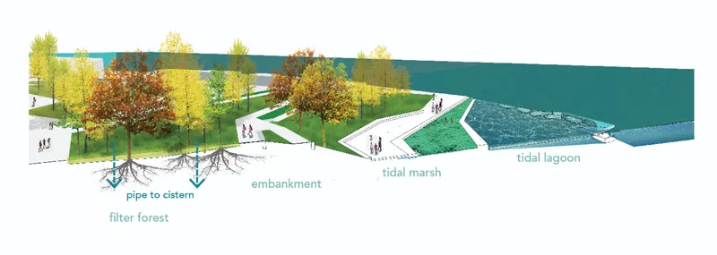Section drawing illustrating embankment, filter forest, and tidal lagoon with infrastructure below ground