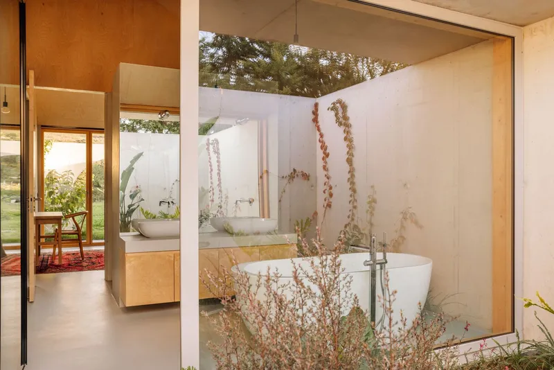 Interior view through frameless glazing into a bathroom with white walls and climbing vines