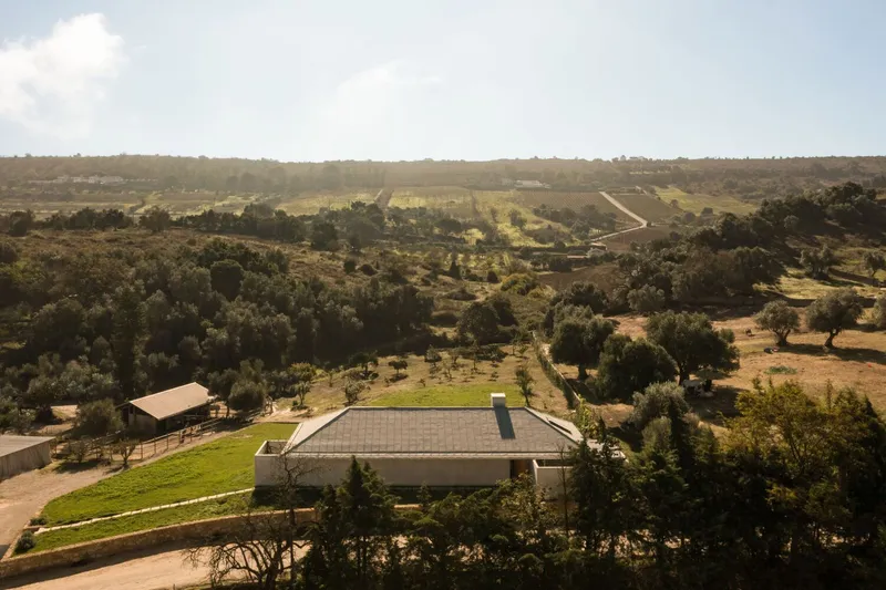 Distant aerial view of the low-slung residence with pitched roof in a rolling landscape of olive trees