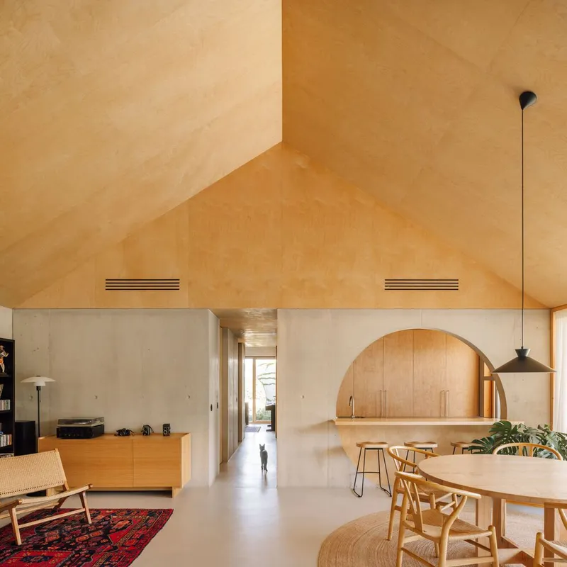 Open-plan living space with plywood vaulted ceiling, concrete walls, and arched kitchen niche