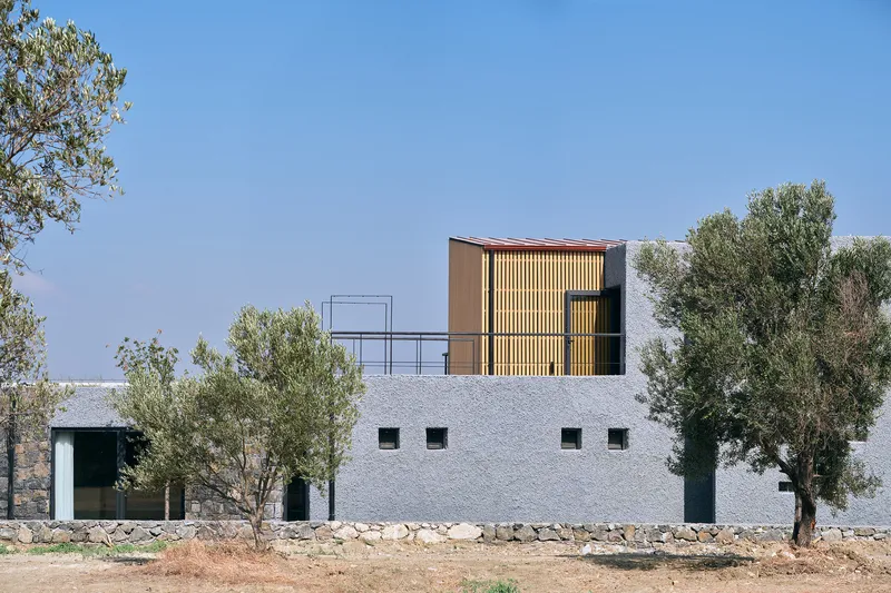 White rendered base with timber screened upper volume framed by olive trees in dry landscape