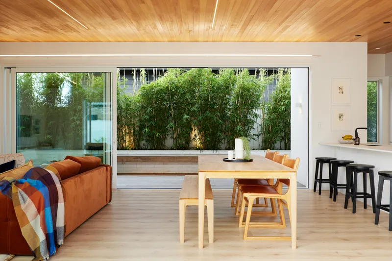 Open plan living and dining space with timber ceiling looking out to bamboo-planted courtyard