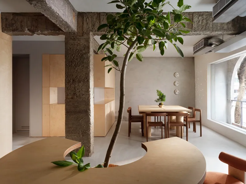 Open dining area with a tree growing through a circular cutout in the polished floor