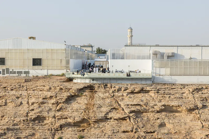 Translucent facade panels meeting weathered sandstone terrain with a minaret in the distance