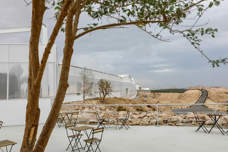 Outdoor terrace with folding chairs and tables beneath a tree overlooking excavated sandstone terrain