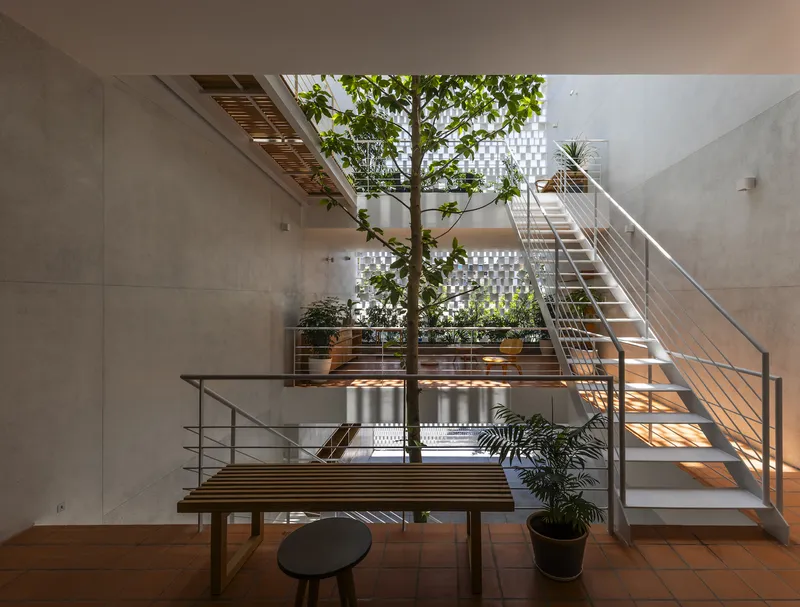 Open stairwell with timber treads and steel railings overlooking a tree growing through the floor levels
