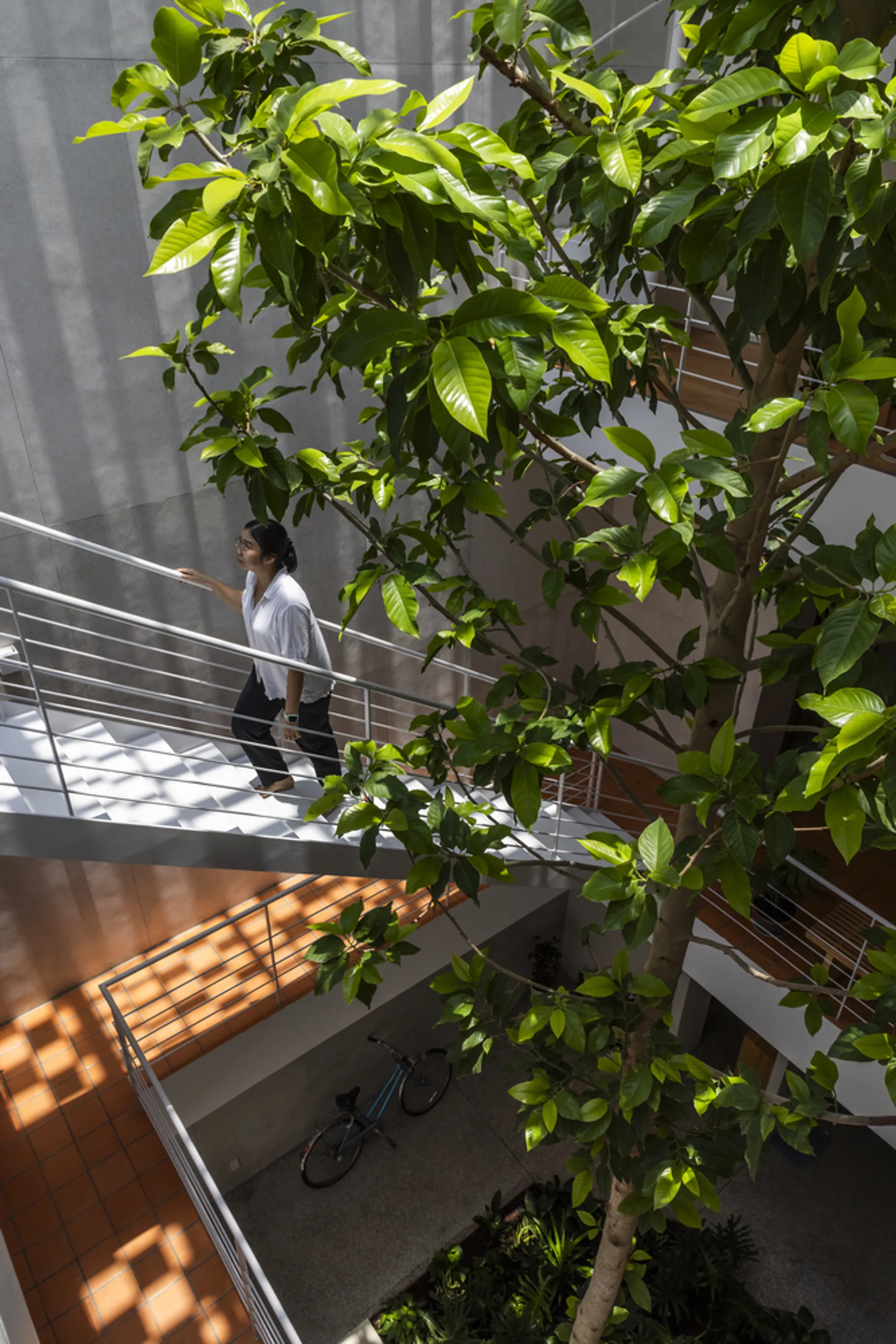 Sanuki Daisuke Architects Carve a Vertical Garden Through a Vietnamese Tube House in Vung Tau