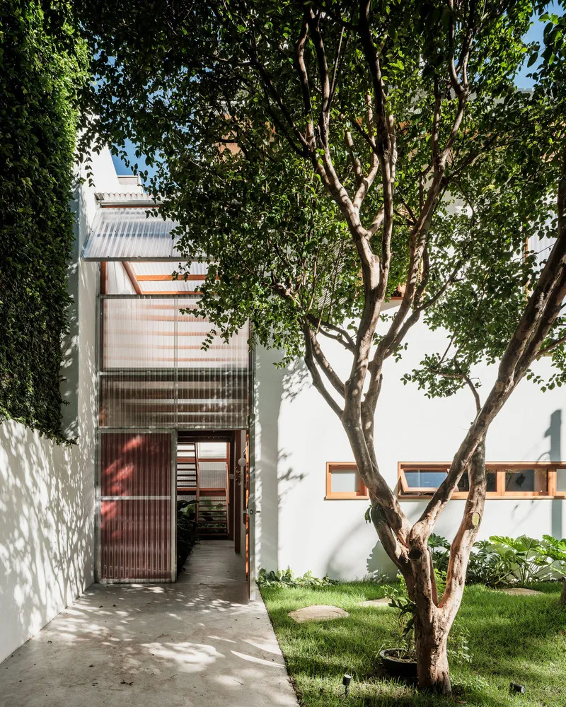 Entry path beneath translucent corrugated canopy with mature tree casting dappled shadows on white wall