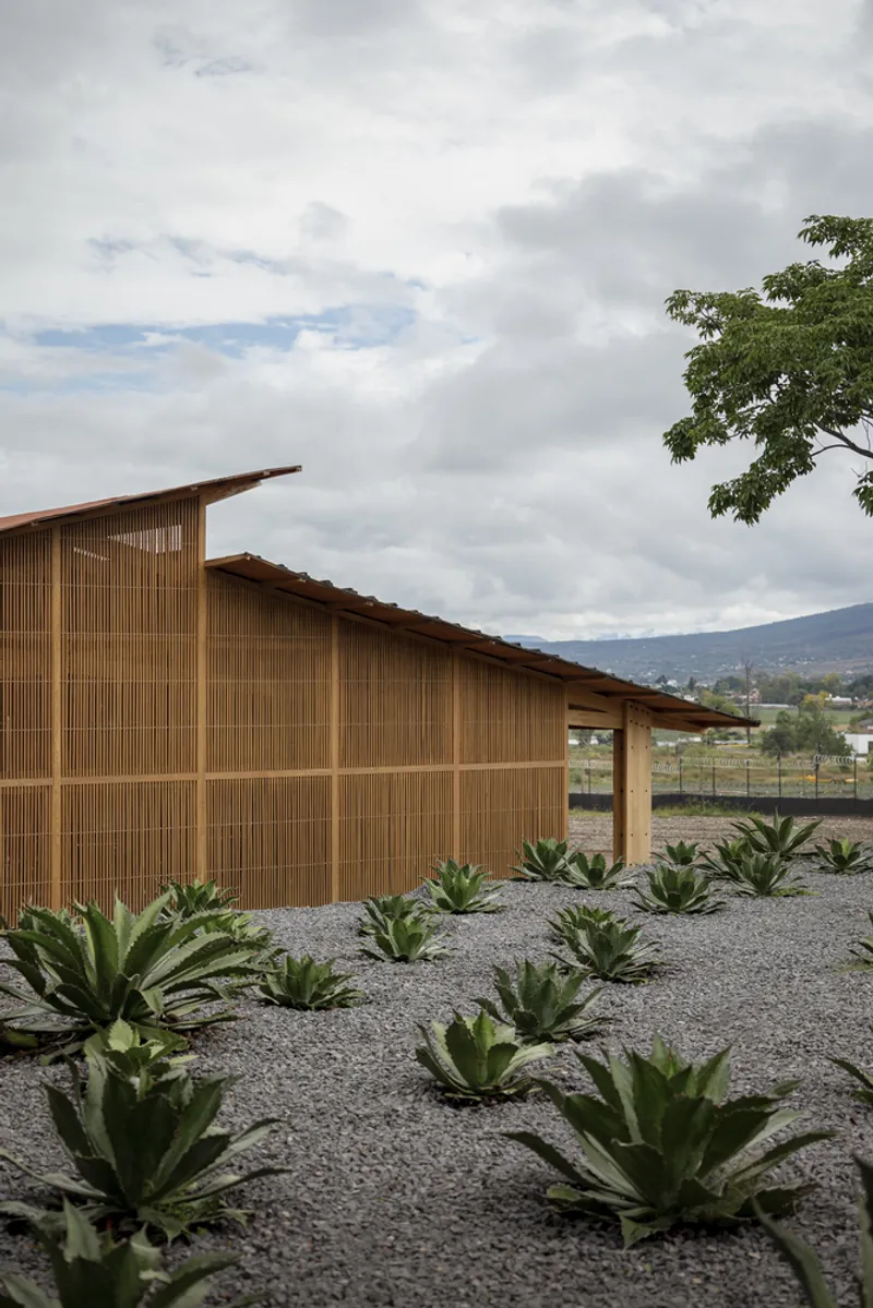 Bamboo slat facade with sloped roof terracotta tiles beside a gravel bed planted with agaves