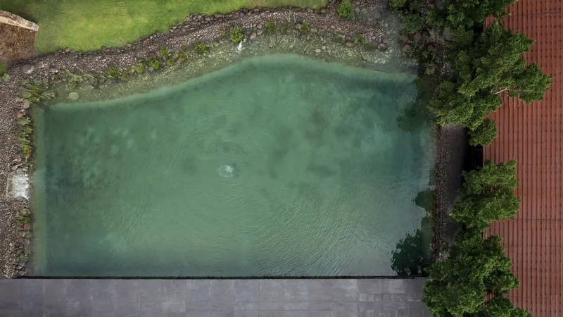 Aerial view of the green swimming pool adjacent to corrugated metal roof and stone perimeter edging