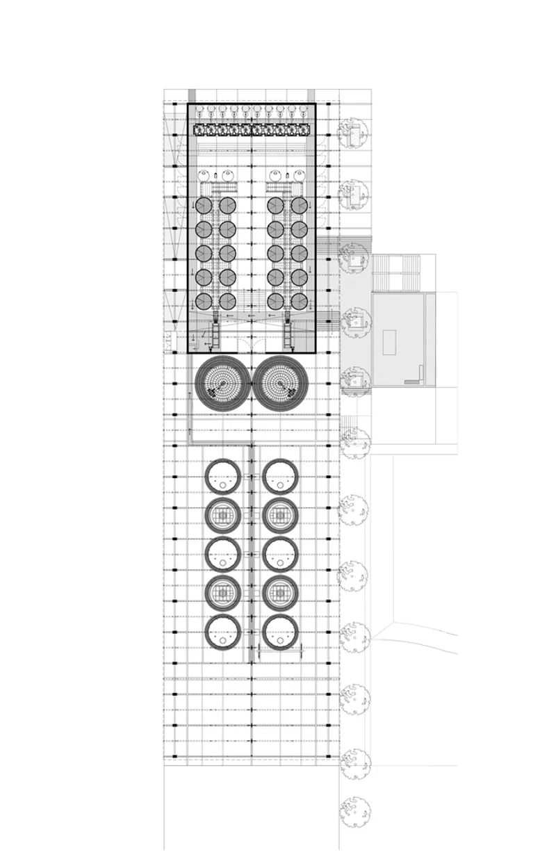 Floor plan drawing displaying rows of circular seating elements and service spaces along tree-lined edge