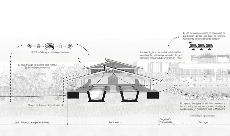 Section drawing illustrating angled support columns beneath raised volumes and water systems with annotation diagrams