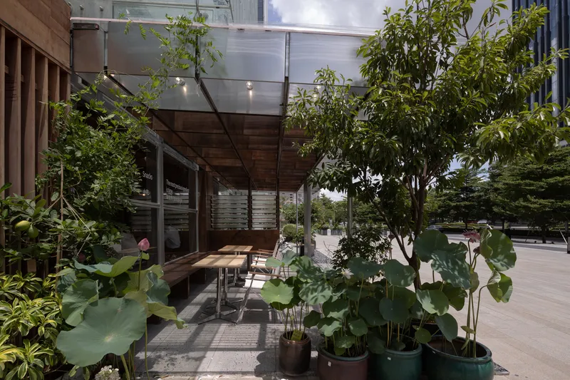 Exterior seating beneath the canopy surrounded by potted trees and lotus plants in evening light