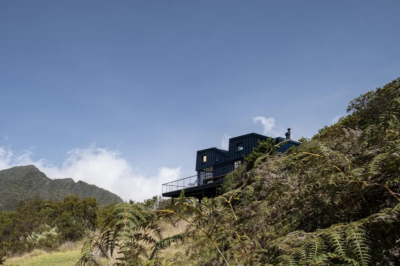Dark-clad modular volume perched on a hillside among ferns and native vegetation under blue sky