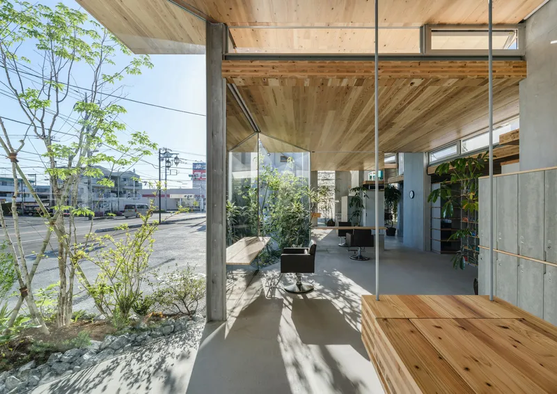 View from timber deck through glass walls to planted courtyard with trees and gravel bed