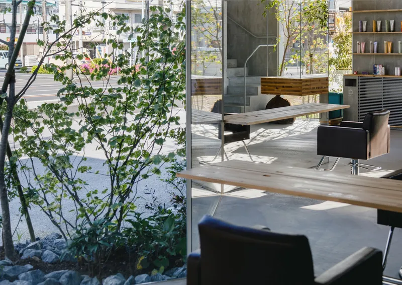 Interior view past a planted courtyard tree toward salon stations with dappled sunlight on the floor