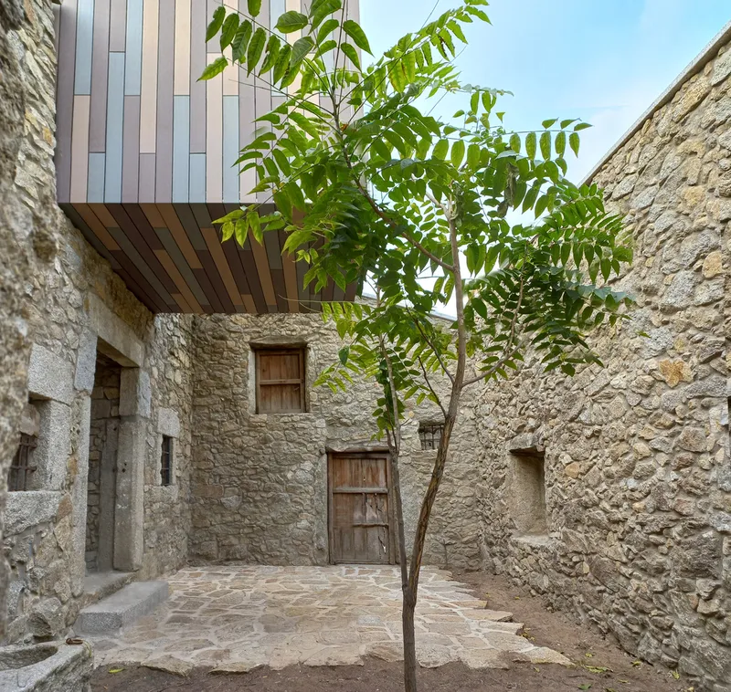 Courtyard paved in stone with a young tree planted beneath the cantilevered timber-clad volume