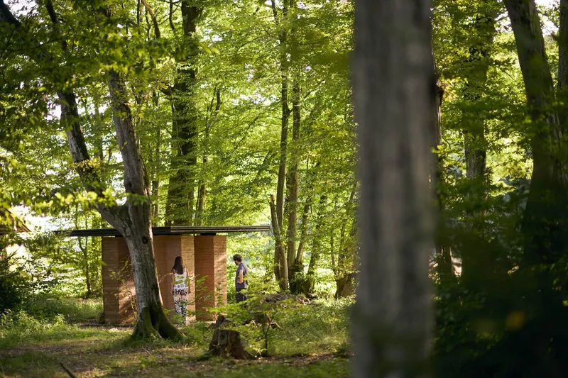 Layered earth wall structure seen through tree trunks with two visitors walking past in summer