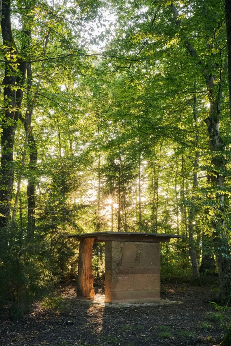 Rammed earth wall section backlit by golden hour sun filtering through dense green canopy