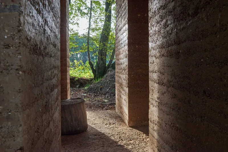 View between rammed earth columns toward the forest floor with dappled sunlight
