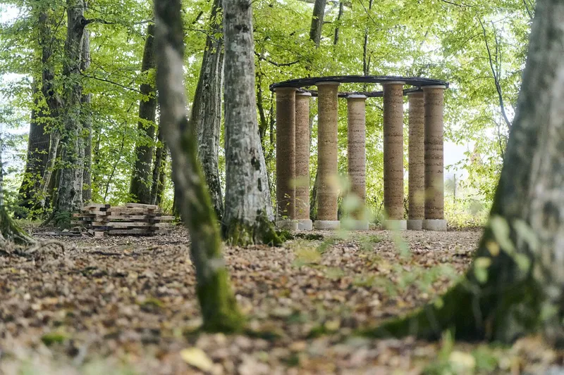 Circular rammed earth colonnade with flat roof in forest clearing with leaf litter ground