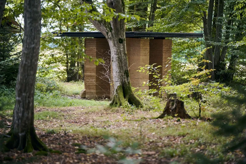 Rammed earth pavilion with flat roof viewed through moss-covered tree trunks and undergrowth