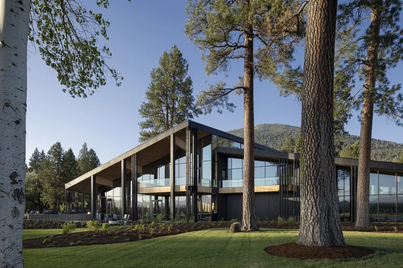 South-facing facade with exposed timber structure and full-height glazing between preserved pine trees under clear summer sky