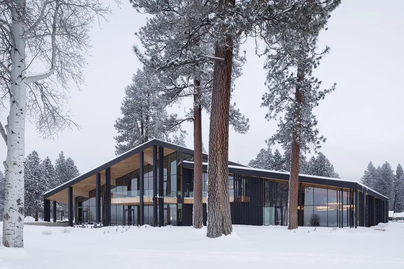 Exterior view of the black-clad volume with deep roof overhangs among tall pines during snowfall