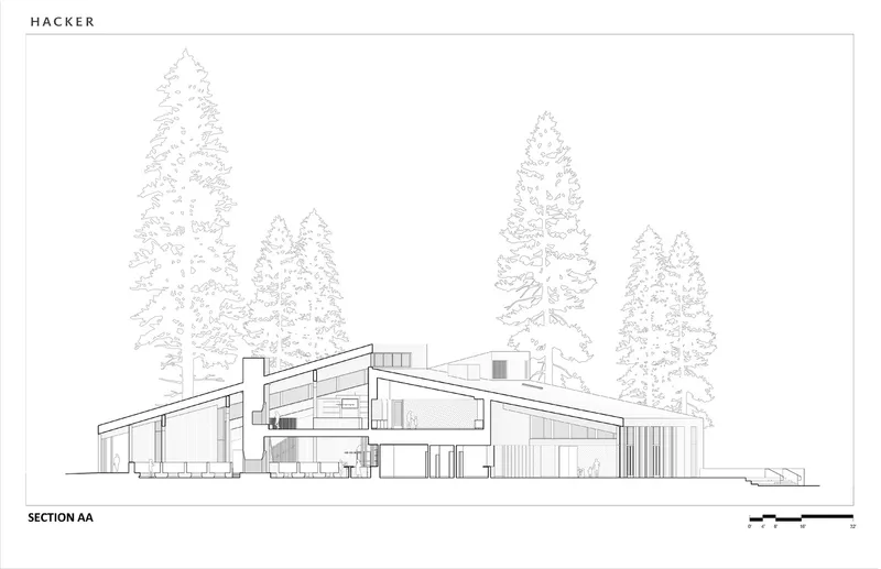 Section drawing through the sloped roof volumes with pine trees in elevation