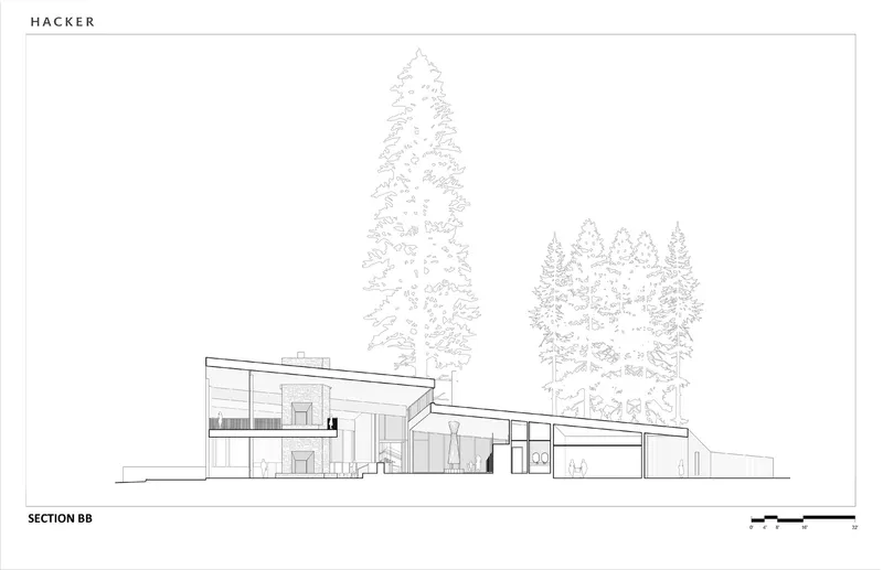 Section drawing showing interior volumes with vertical double-height spaces among tall conifer trees