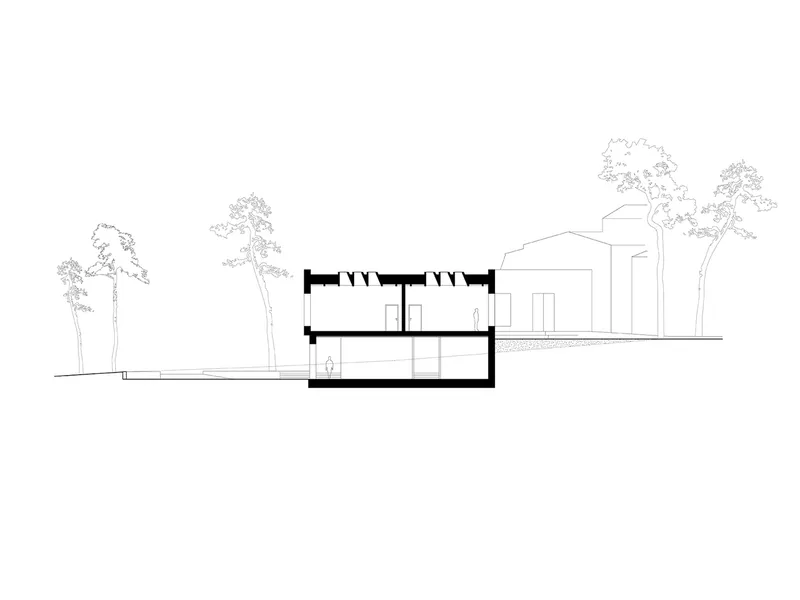 Section drawing showing a partially sunken volume with exposed roof beams adjacent to existing trees